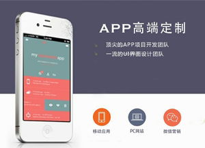 APP定制开发完整思路及流程