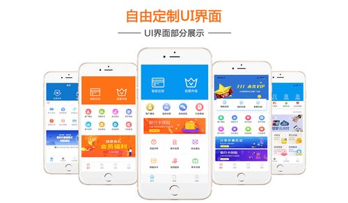 智还app开发定制代还app开发贵州