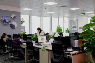 重庆app app开发公司 各行业app定制