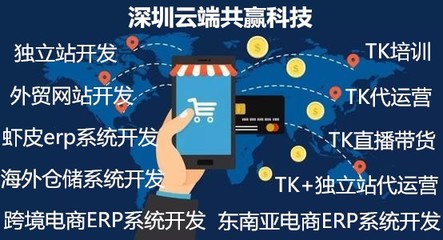 无货源店群定制开发