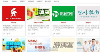 app开发网站建设微信开发软件开发 南昌网站制作
